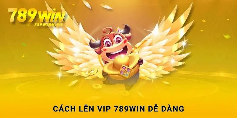 Cách thức để được trở thành hội viên VIP