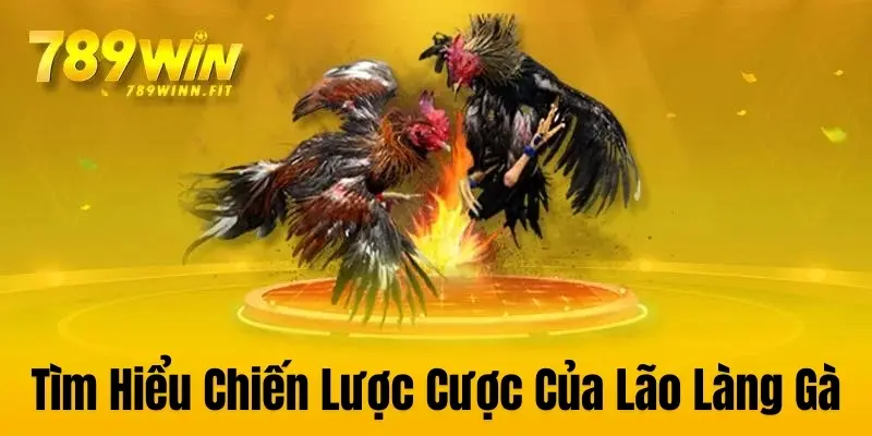 Chiến lược đặt cược hiệu quả từ các kê thủ lão làng