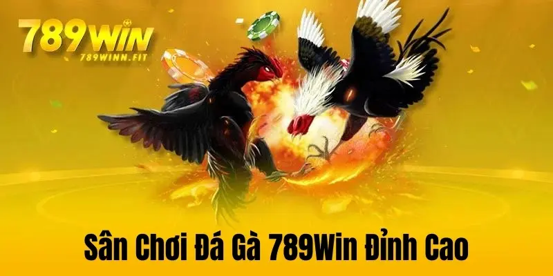 Đá Gà 789Win - Sân chơi đỉnh cao với công nghệ hiện đại