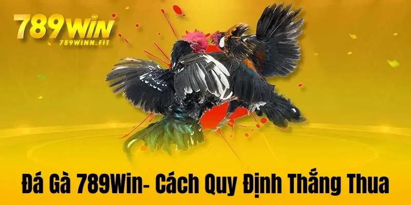 Quyết định thắng thua trong Đá Gà 789Win 