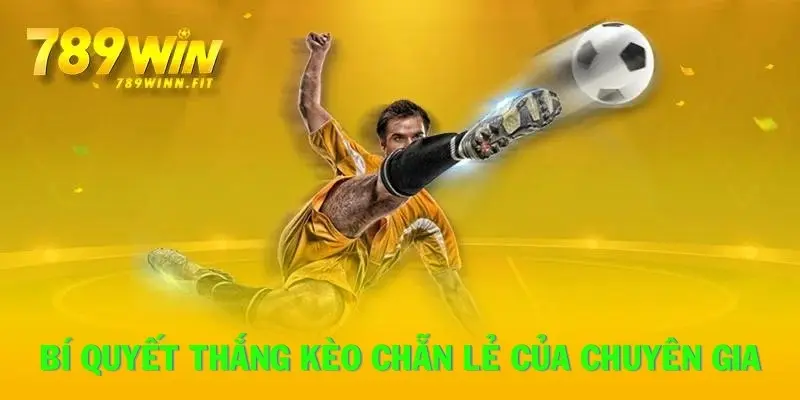 Bí quyết thắng cược kèo chẵn lẻ từ chuyên gia