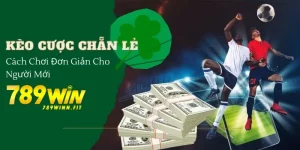 Cách cược kèo chẵn lẻ siêu đơn giản cho người mới.