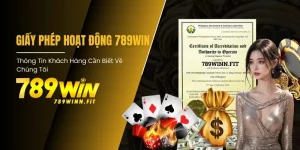 Giấy phép hoạt động 789Win – Những Thông Tin Cần Biết Cho Cược Thủ