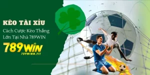 Cách chơi kèo tài xỉu hiệu quả tại nhà cái 789Win